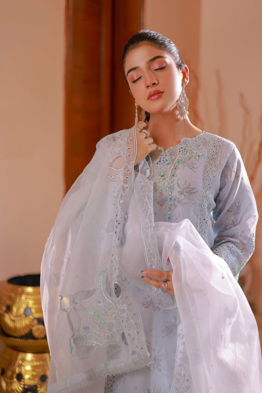 Naqsh by Guzel Organza Stitched 3pcs - Jotey